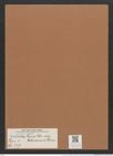 Navicula lyra var. abnormis Grun. (de-Toni-Nr.: Genus 1, Species 327) Zeichnungen Sammlung Grunow Mappe 00279 (Herbarium_W_Grunow_drawings_Folder_00279)